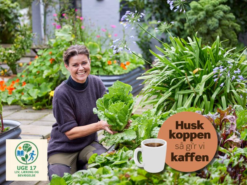 Grøntsager året rundt v/ Yen Frydensberg Egebak