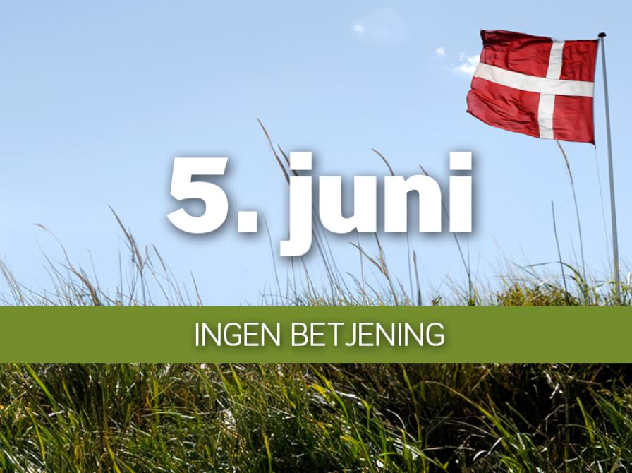 Grundlovsdag er der åbent med selvbetjening på alle fem biblioteker fra kl. 7-22.